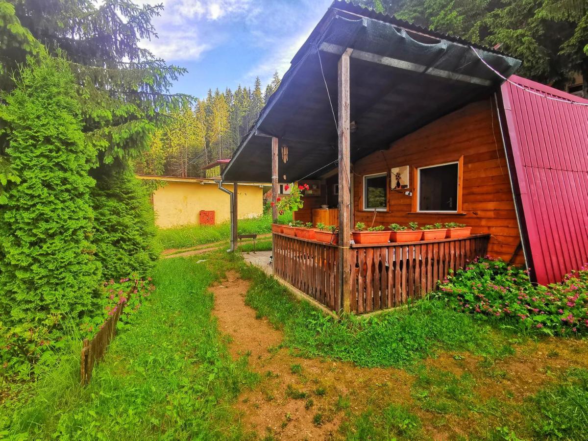 Orlino Holiday Park Sarnitsa Exterior photo